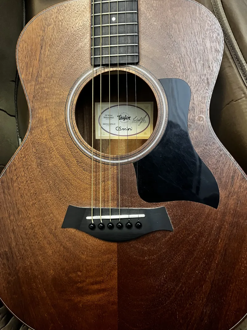 Taylor Gs mini