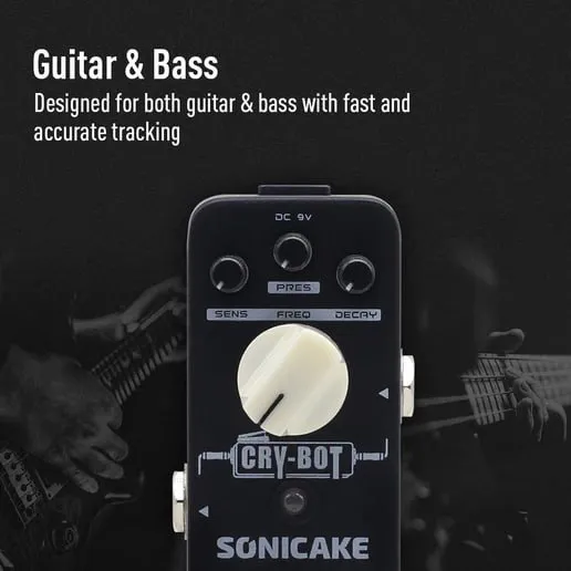 Sonicake Cry Bot
