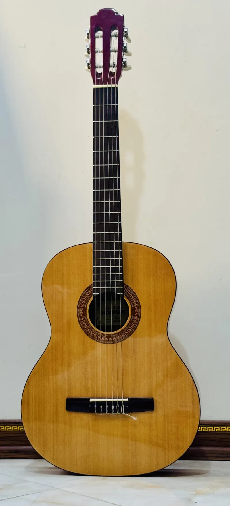 Hohner Hc06