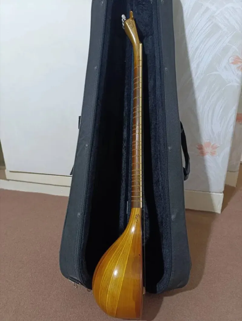 سه تار پنجه طاووسی