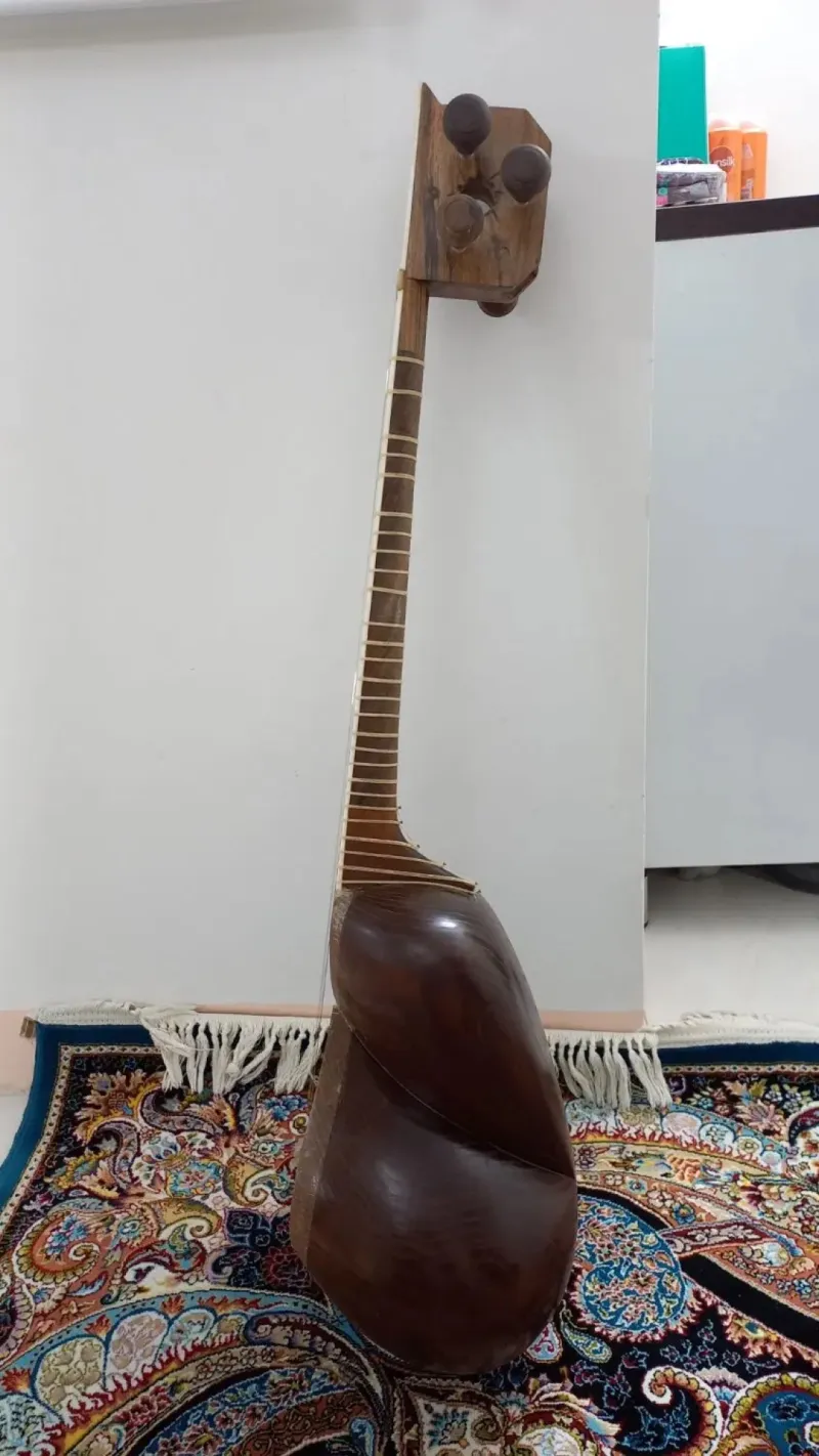 دودستگاه ساز تار ساخته استاد گلبیدی